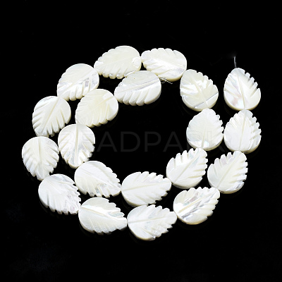 Natural Trochid Shell/Trochus Shell Beads Strands SSHEL-N034-136A-01-1