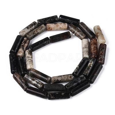 Natural Biotite Beads Strands G-T141-74-1