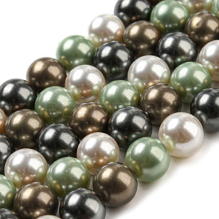 Polished Shell Pearl Bead Strands BSHE-F013-07D-1