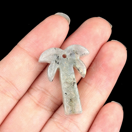 Natural Labradorite Pendants PW-WG3631D-08-1