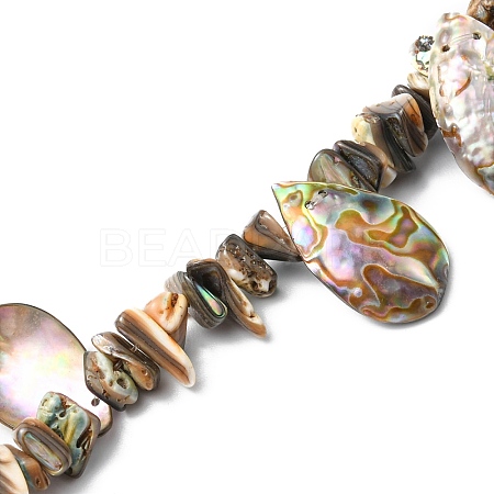 Natural Paua Shell Beads Strands SHEL-F006-02-1