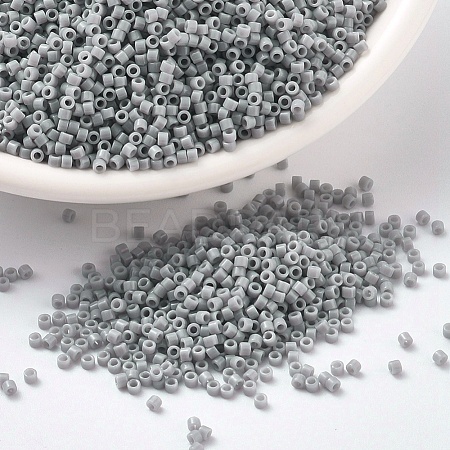 MIYUKI Delica Beads SEED-X0054-DB1139-1