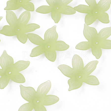 Transparent Acrylic Beads MACR-S373-127-D06-1