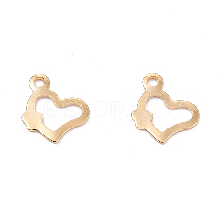 201 Stainless Steel Charms STAS-B001-26G-1