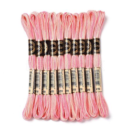 10 Skeins 6-Ply Polyester Embroidery Floss OCOR-K006-A28-1