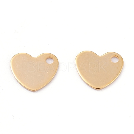 201 Stainless Steel Charms STAS-B001-24G-1