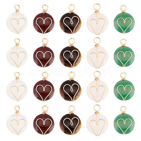 DICOSMETIC 20Pcs 5 Styles Natural Mixed Stone Copper Wire Wrapped Pendants FIND-DC0001-51-1