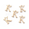304 Stainless Steel Charms STAS-L263-09G-1