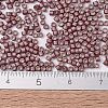 MIYUKI Delica Beads X-SEED-J020-DB1167-4