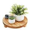 Wood Round Plant Saucer AJEW-WH0473-07A-1