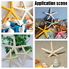 GOMAKERER 20Pcs 5 Colors PVC Starfish Display Decorations DJEW-GO0001-04-7