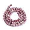 Natural Maifanite/Maifan Stone Beads Strands G-L500-03C-6mm-3