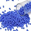 TOHO 8/0 Round Beads X-SEED-TR08-0048L-1