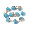 Dyed Synthetic Turquoise Pendants G-N359-18G-21-1