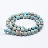 Natural Imperial Jasper Beads Strands X-G-K232-8mm-01D-2