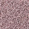 MIYUKI Delica Beads X-SEED-J020-DB0418-3