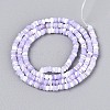 Natural Trochid Shell/Trochus Shell Beads Strands SSHEL-N040-21D-2