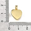 Brass Pendants KK-V007-011G-02-3