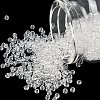 Glass Seed Beads SEED-A004-3mm-1-1