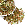 Picasso Transparent Glass Beads SEED-Q039-02O-1