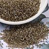 MIYUKI Delica Beads SEED-X0054-DB2396-1