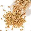 TOHO 6/0 Round Beads SEED-XTR06-0715-1