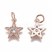 Brass Micro Pave Cubic Zirconia Charms ZIRC-F111-11RG-2