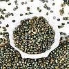 Picasso Glass Seed Beads SEED-N012-10K-2
