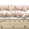 Natural Seashell Shell Beads Strands SSHEL-H072-10-4