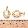 Natural White Shell Pendants KK-N287-23G-3
