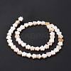 Natural Freshwater Shell Beads Strands SHEL-H002-03G-5