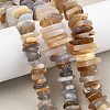 Natural Grey Agate Beads Strands G-A302-A02-01-1
