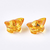 Transparent Acrylic Pendants TACR-S133-043-2