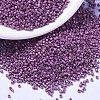 MIYUKI Delica Beads SEED-MY11-DB1184-1