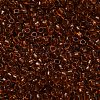 TOHO 6/0 Round Beads X-SEED-TR06-2154-3