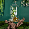 Glass Dome Cover DJEW-WH0099-06C-4