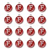 Platinum Plated Alloy Enamel Charms LS-ENAM-S118-03F-P-2