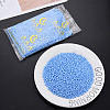 6/0 Glass Seed Beads SEED-T005-14-B20-2