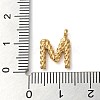 316 Surgical Stainless Steel Pendants & Charms STAS-D031-01M-3