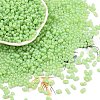 Baking Paint Glass Seed Beads SEED-L011-09A-18-1
