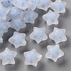 Transparent Acrylic Beads TACR-S152-02C-SS2113-1
