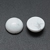 Natural Howlite Cabochons G-P393-R32-12mm-2