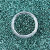 FGB 11/0 Grade A Glass Seed Beads SEED-S030-1216-3