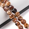 Natural Fire Crackle Agate Beads Strands G-G163-B01-01-2