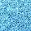 MIYUKI Round Rocailles Beads SEED-X0056-RR0413-2