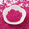 Baking Paint Glass Seed Beads X-SEED-S042-05B-69-2
