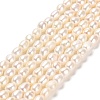 Natural Cultured Freshwater Pearl Beads Strands PEAR-E016-105-1