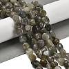 Natural Labradorite Beads Strands G-P497-01E-47-2