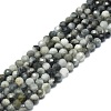 Natural Hawk's Eye Beads Strands G-P457-A03-06-1