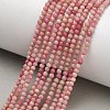 Natural Rhodonite Beads Strands X-G-P553-G06-01-2